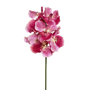 Орхидея фуксия 60 см