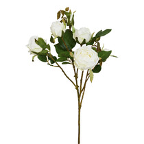 Ветка розы белой 54 см