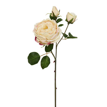 Роза персиковая 56 см