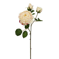 Роза персиковая 56 см