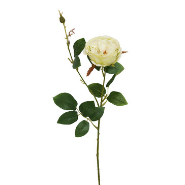 Роза светло-зеленая 54 см