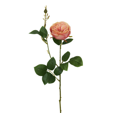 Роза персиковая 54 см