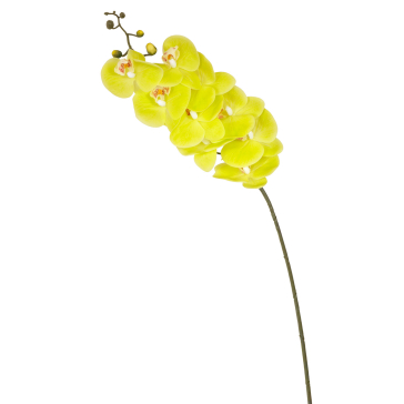 Ветка орхидеи (9 бутонов)