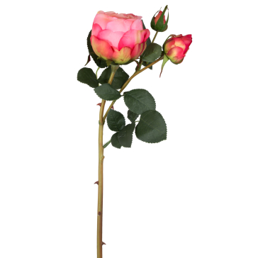 Роза розовая 62 см