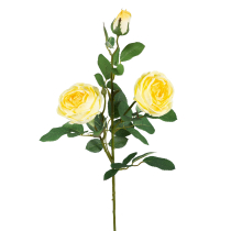 Веточка с желтыми розами